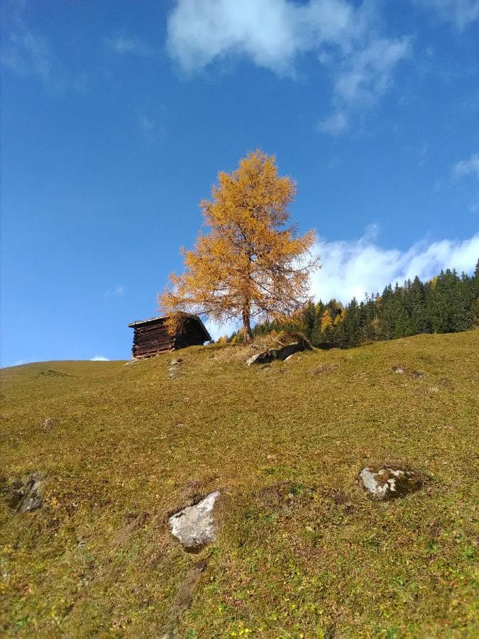 Ferienwohnung Felix-Adults Only Neustift im Stubaital Exteriér fotografie